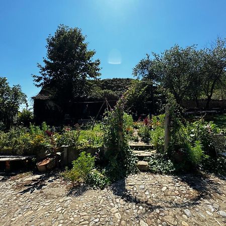Saschiz 175 Guesthouse Exterior photo