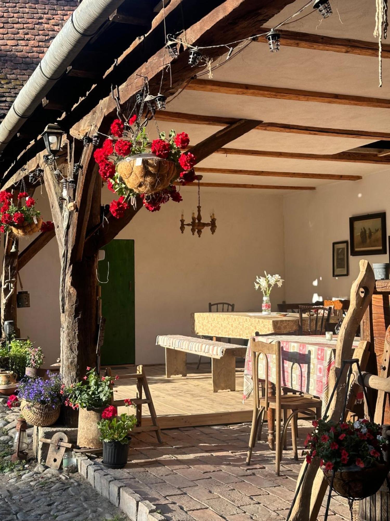 Saschiz 175 Guesthouse Exterior photo